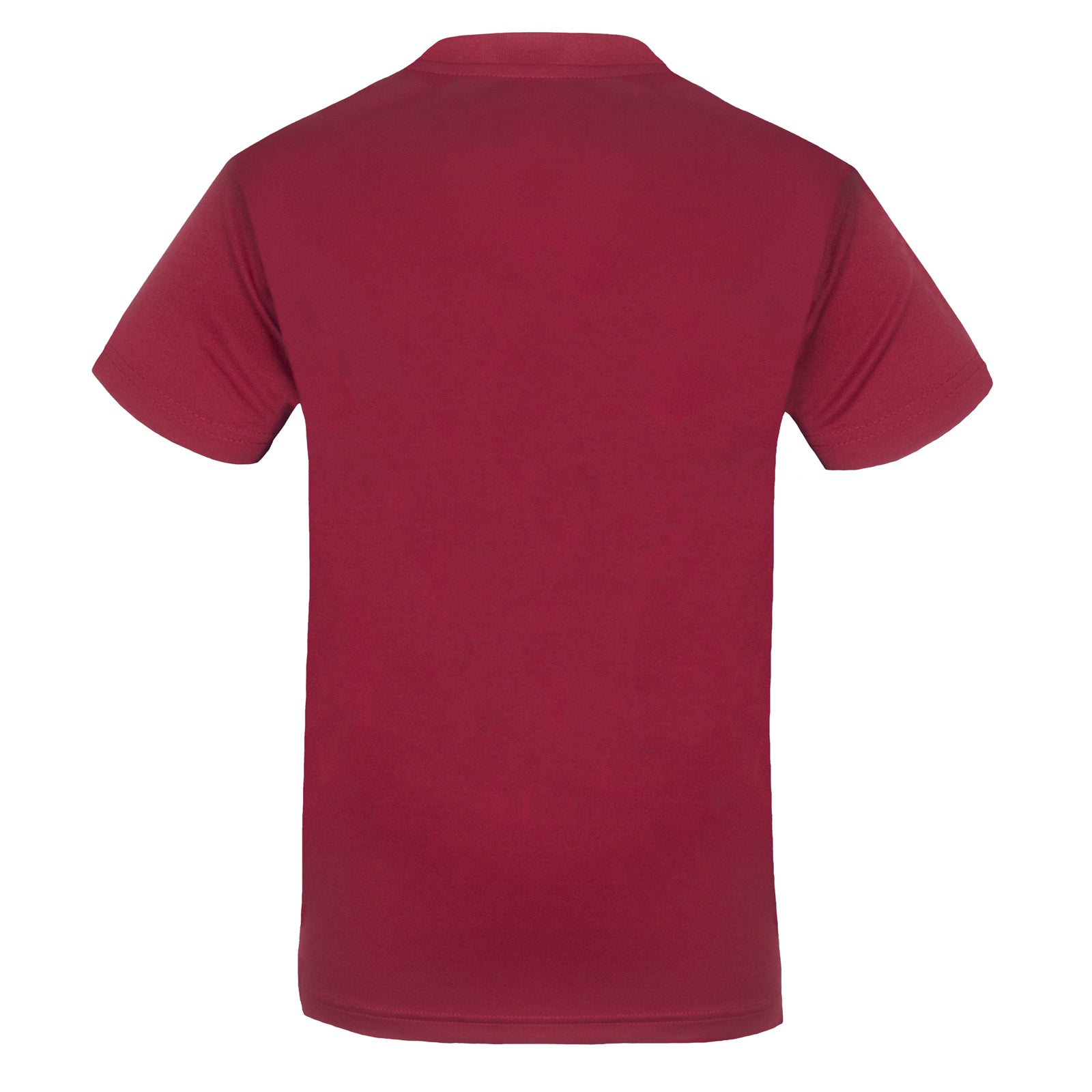 FC Barcelona adults T-shirt in red stripe with club crest to chest
