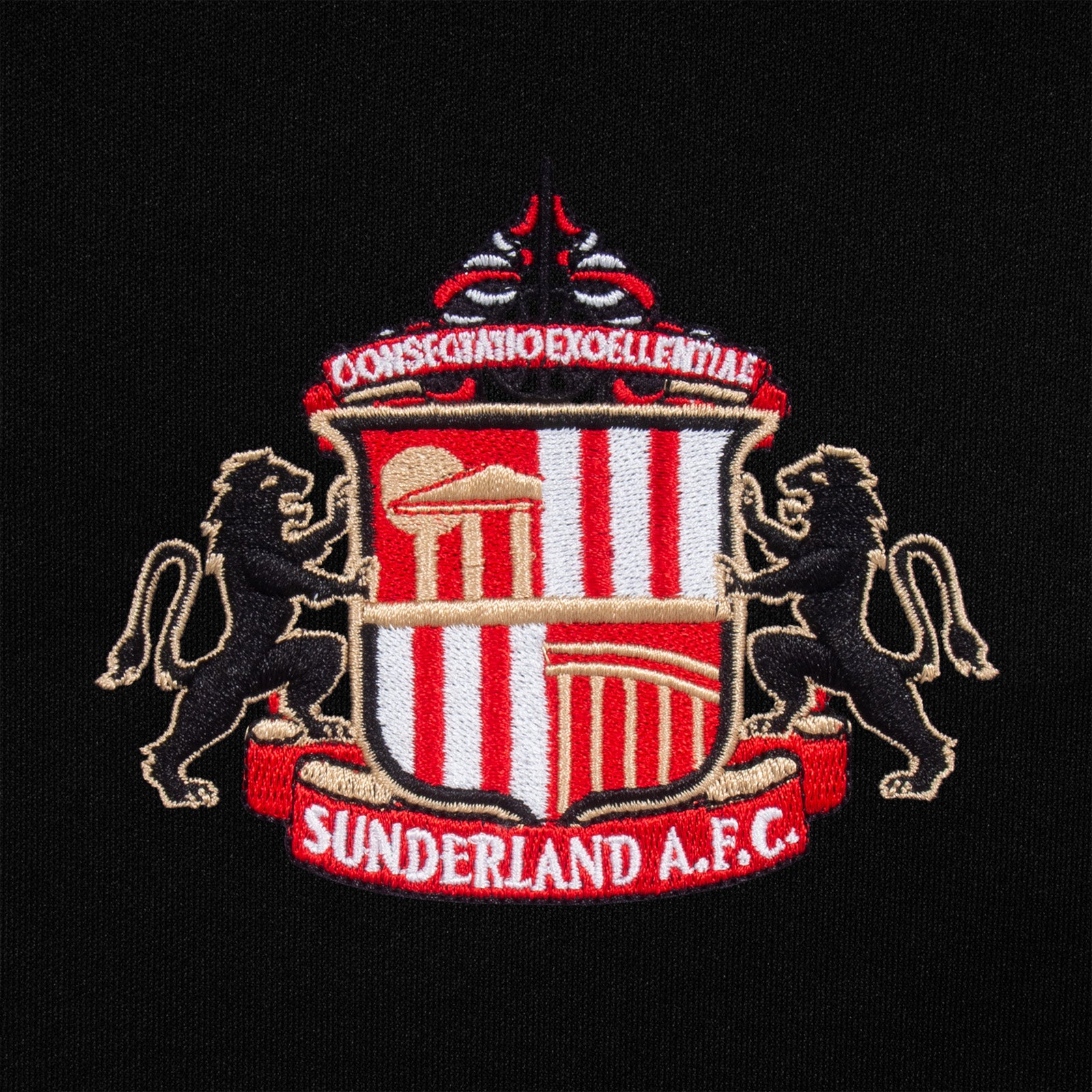 Sunderland AFC kids T-shirt in black with club crest & large text print to front.