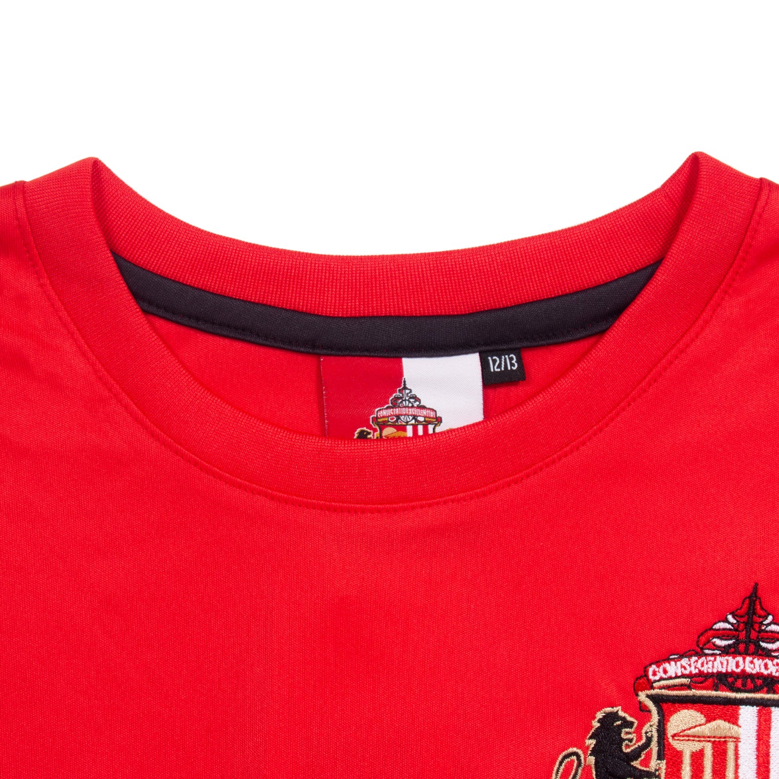 Sunderland AFC kids T-shirt in black with club crest & large text print to front.