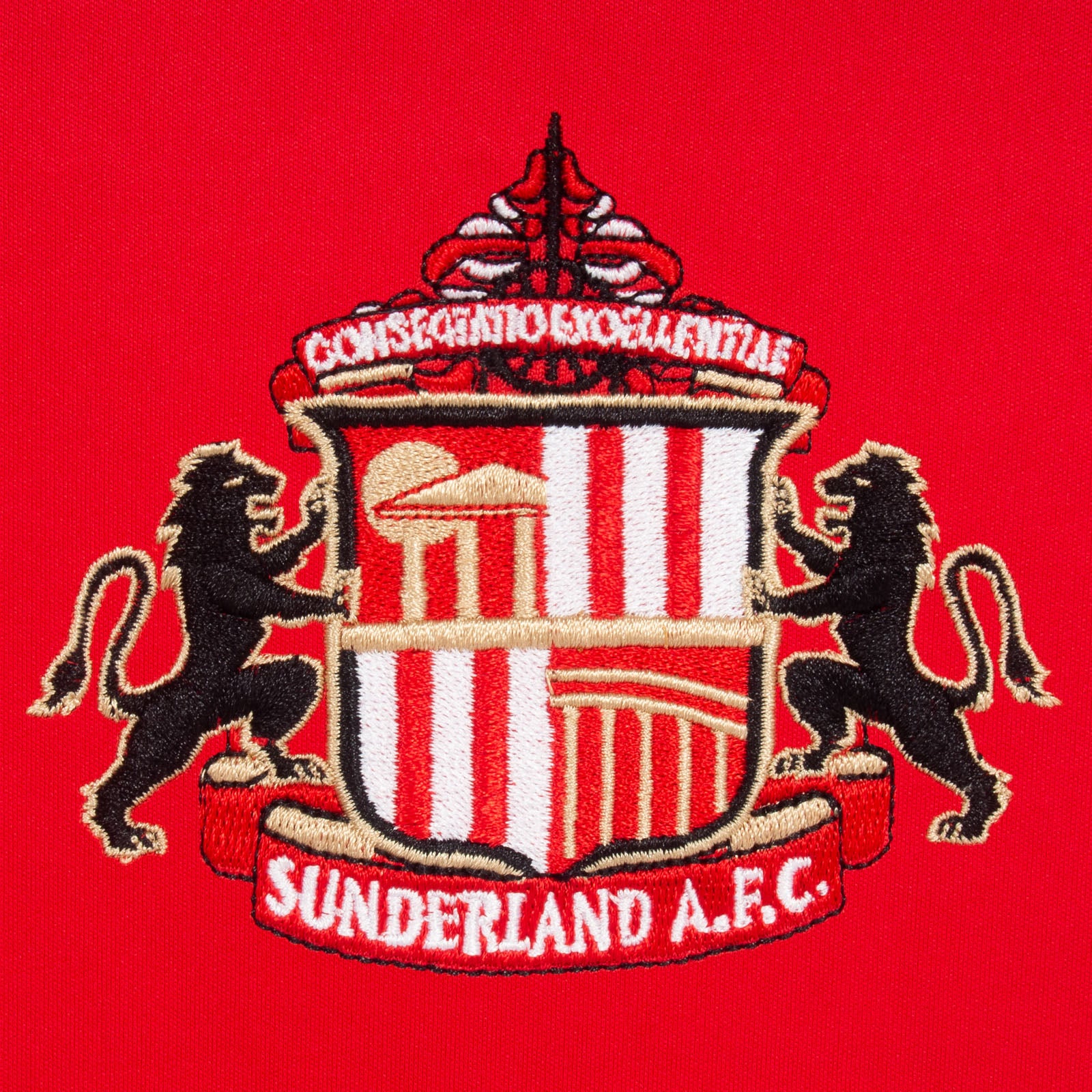 Sunderland AFC kids T-shirt in black with club crest & large text print to front.