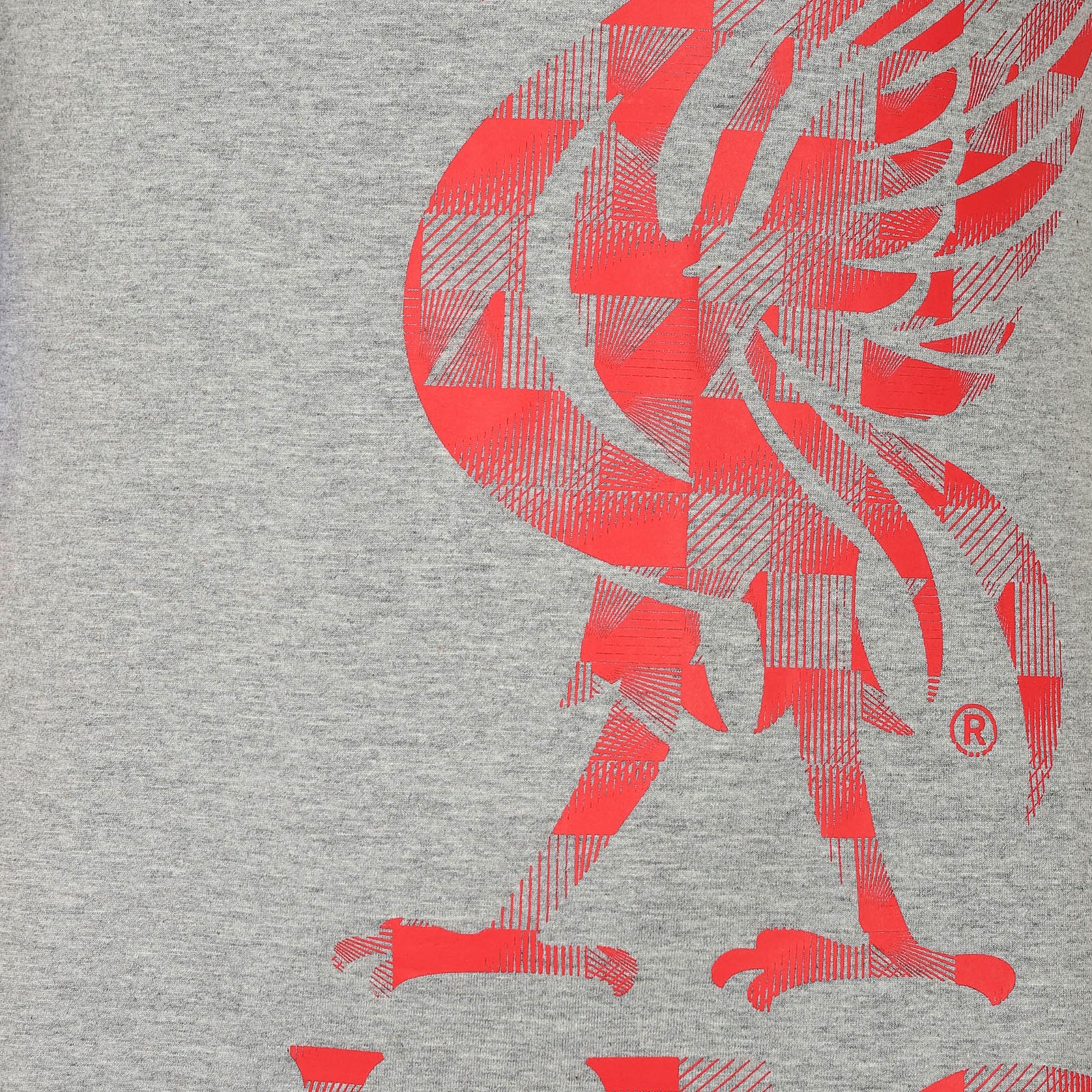 Liverpool adults T-Shirt in grey with large crest print and text to front.