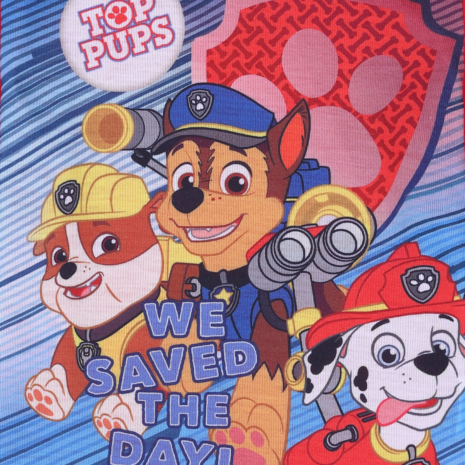 PAW Patrol kids pyjamas in blue. Short sleeve top with large character graphic to front and long bottoms.