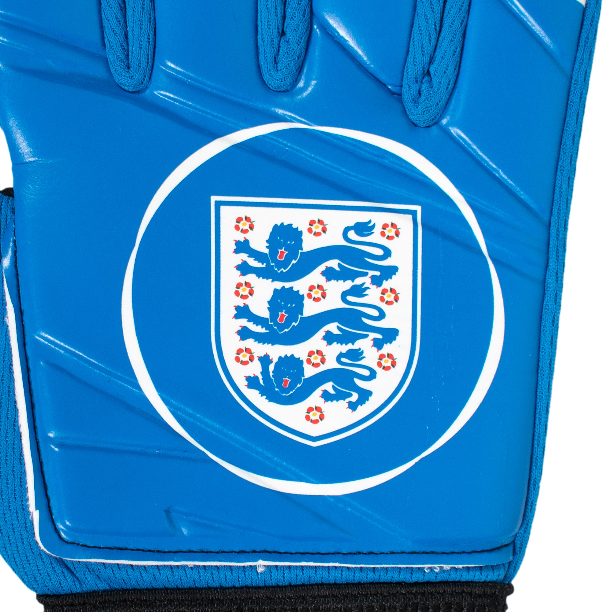 England goalkeeper gloves blue with Three Lions crest & text print to each glove