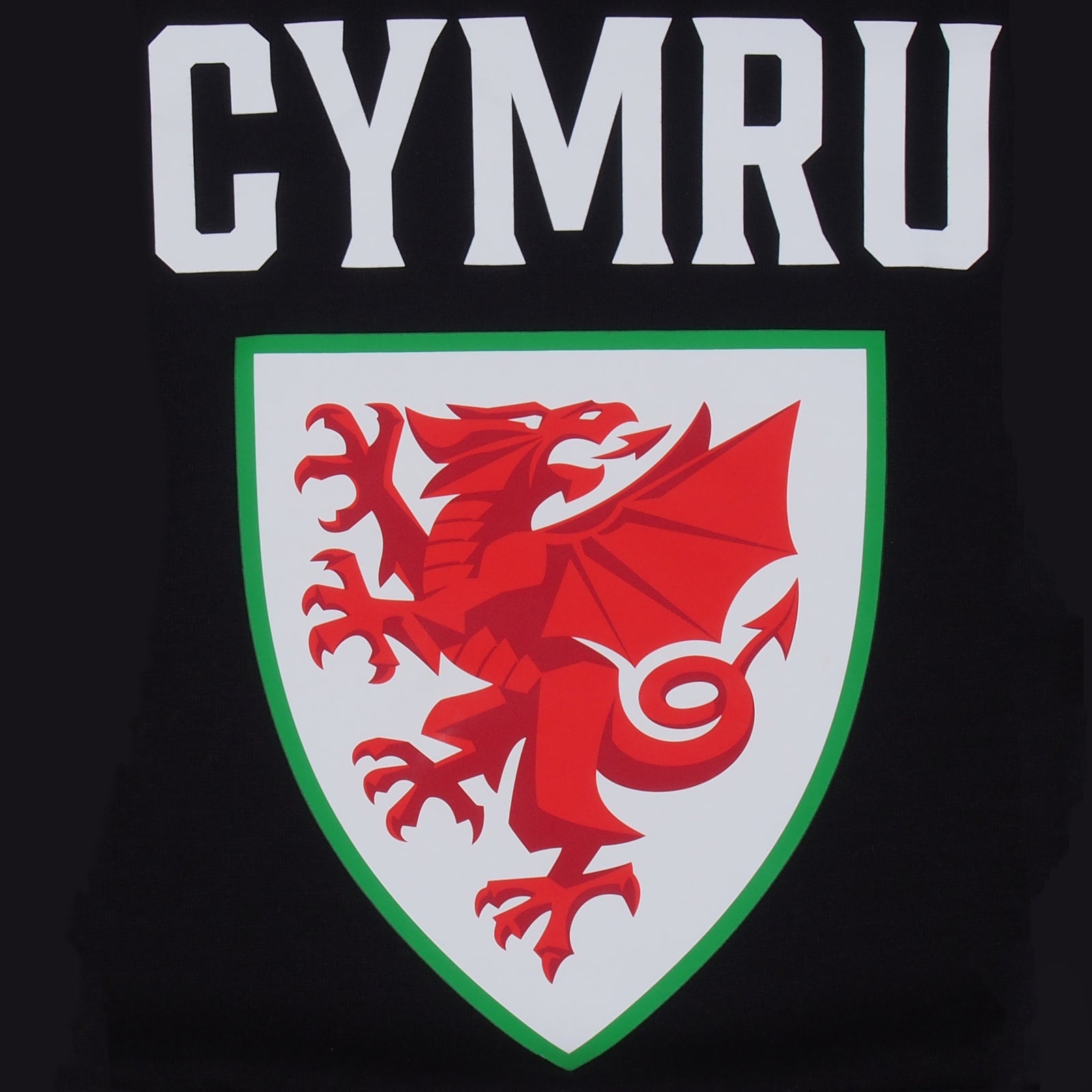 Wales FA adults graphic hoodie in black with Wales crest to the centre of the body.