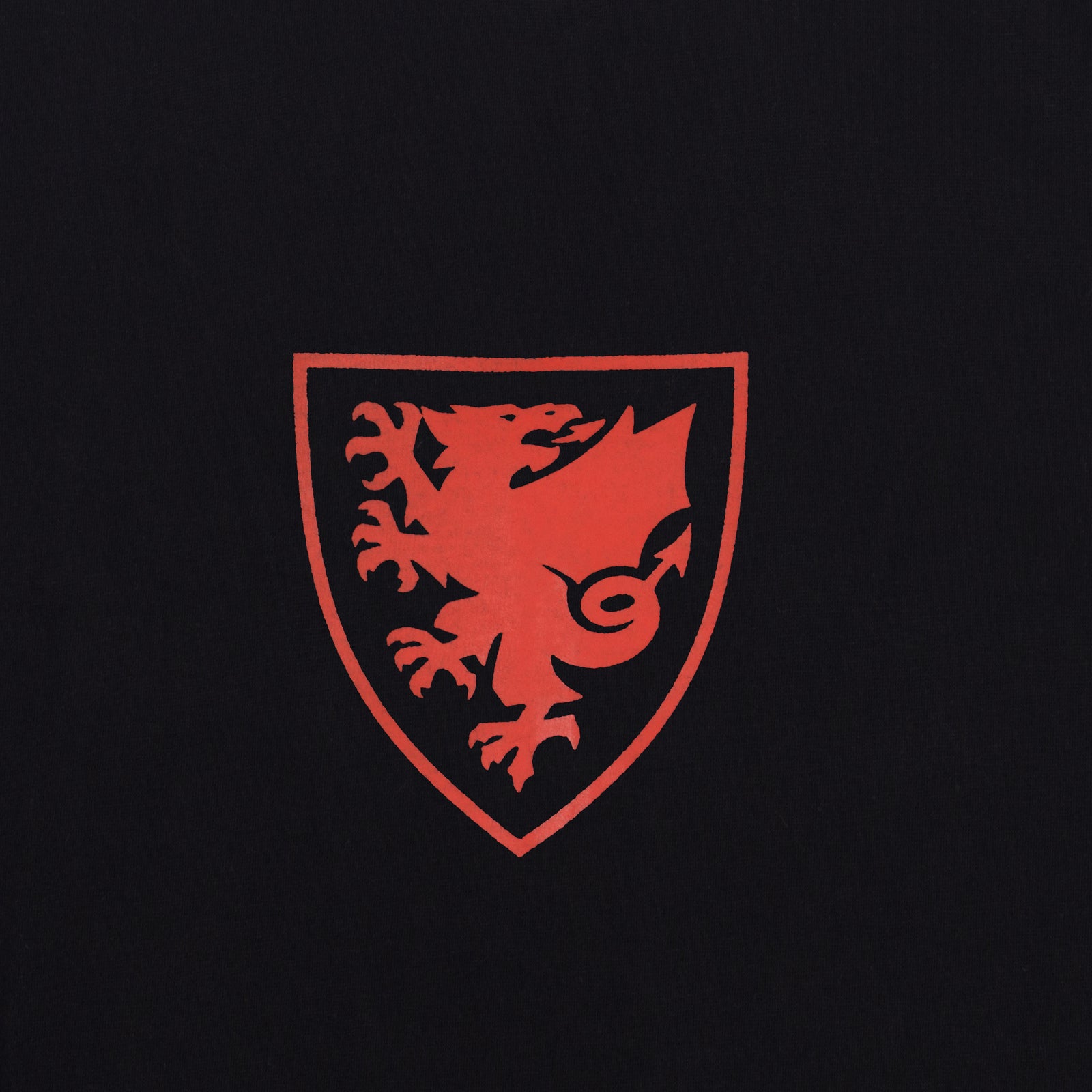 Wales FA kid?s crest T-shirt in black with large national crest print to front
