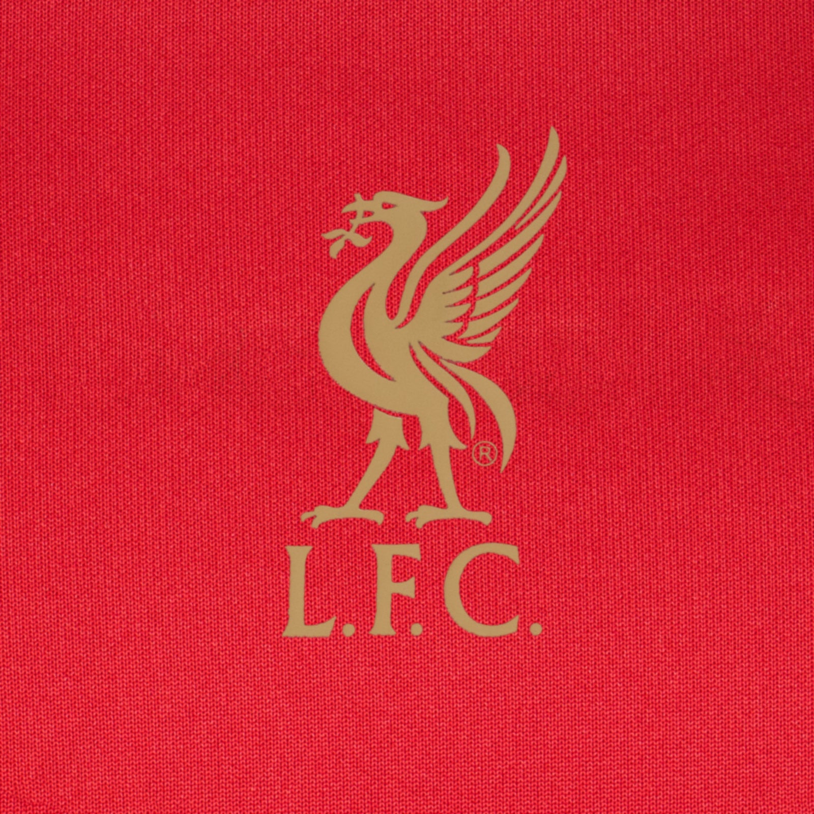 Liverpool adults tracksuit in black with club crest to chest and left thigh