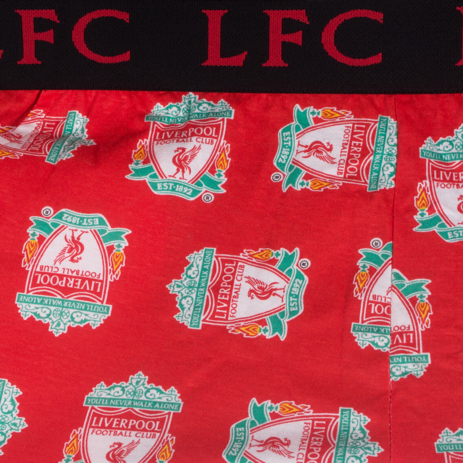 Liverpool lounge pants in red with all over LFC crest print.