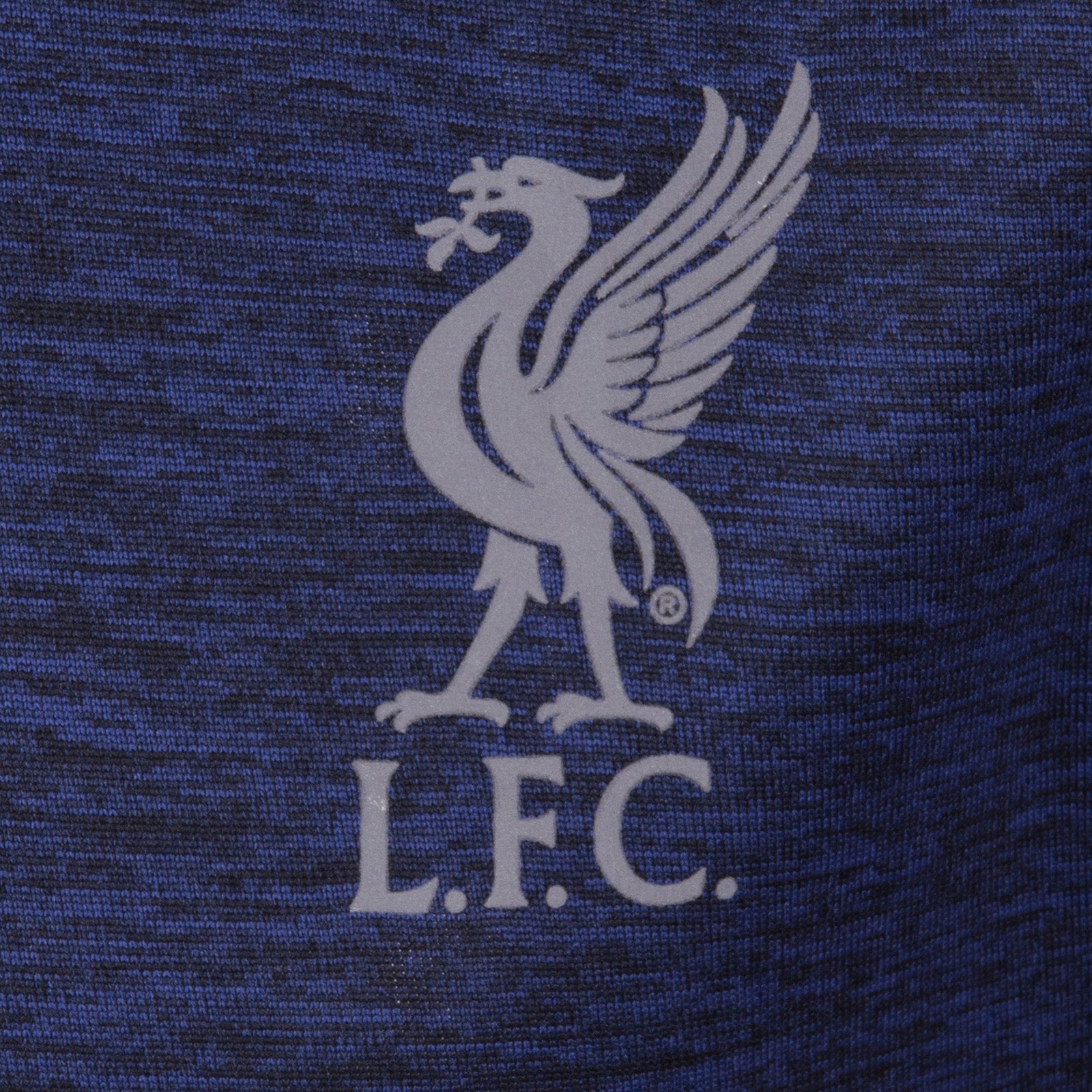 Liverpool kids T-shirt in royal blue with club crest to chest