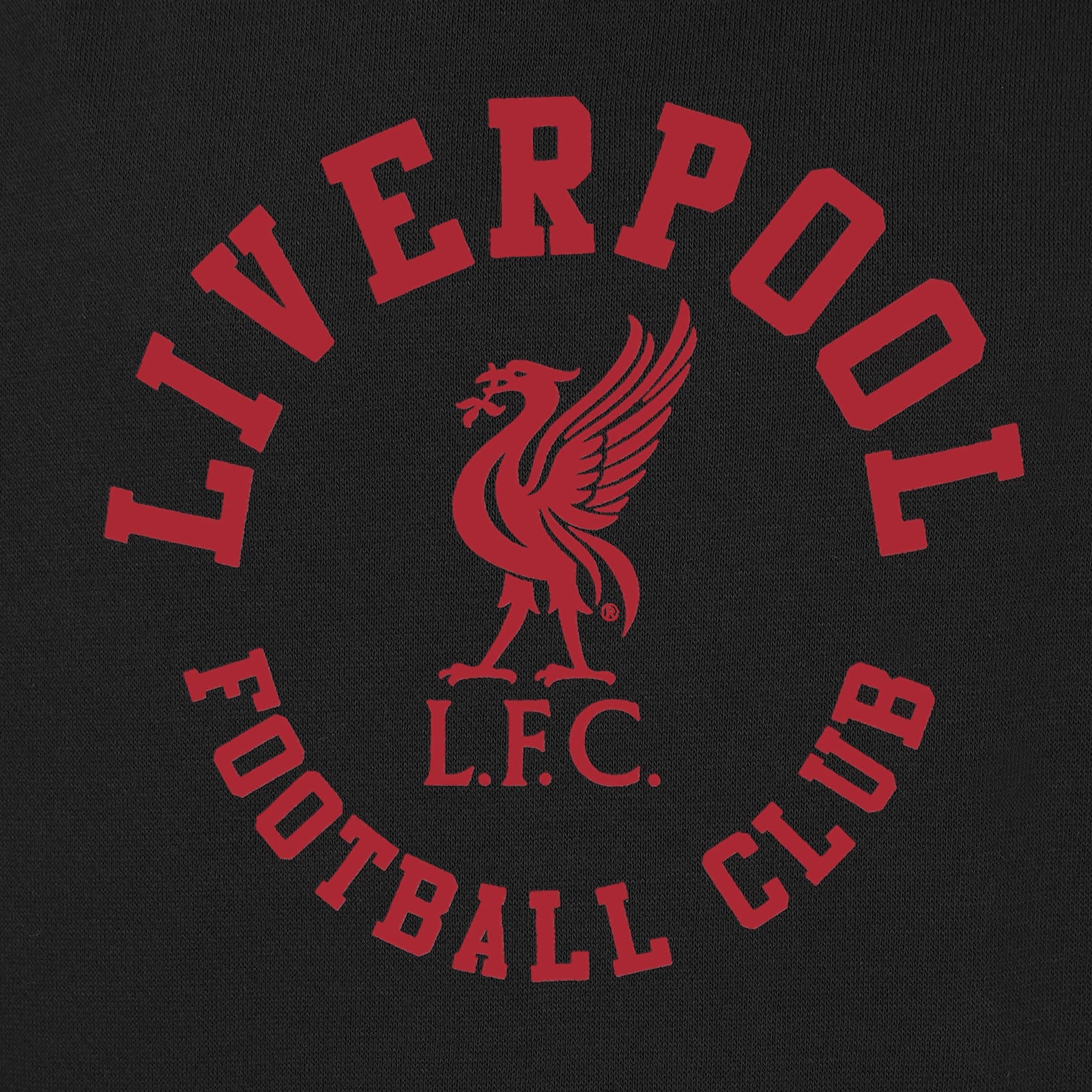 Liverpool graphic hoodie for adults in black with LFC crest to the centre of the body.