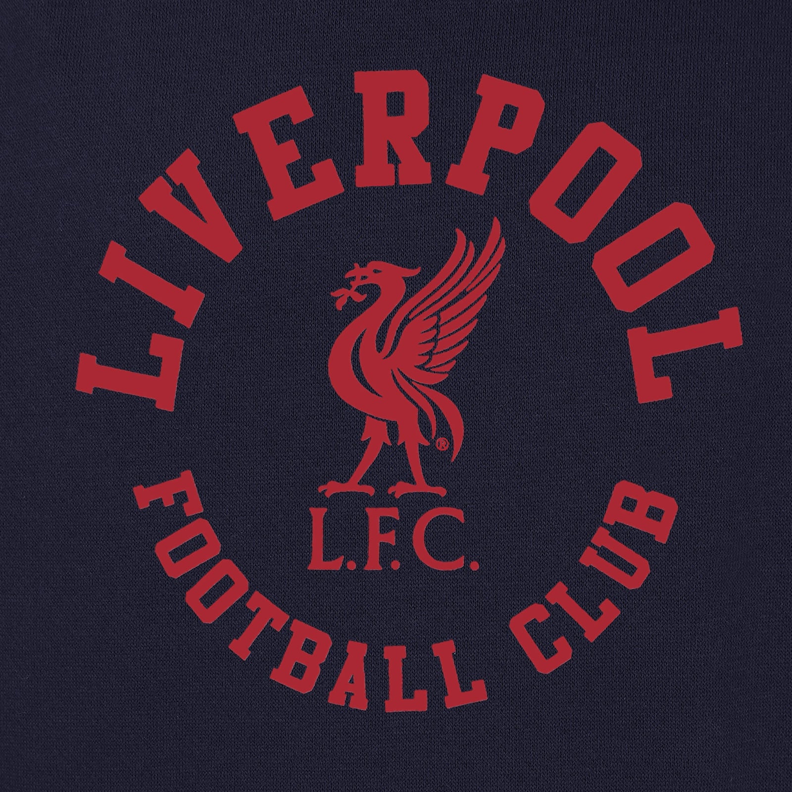 Liverpool graphic hoodie for kids in navy with Liverpool fan crest to the centre of the body.