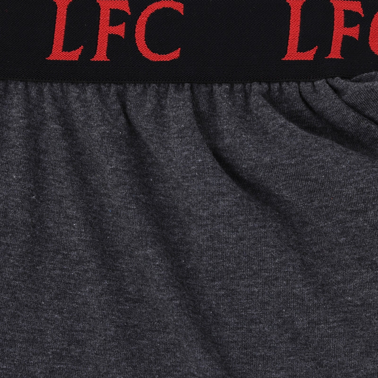 Liverpool adults pyjamas in grey. Short sleeve top with graphic and shorts with logo to the left leg.