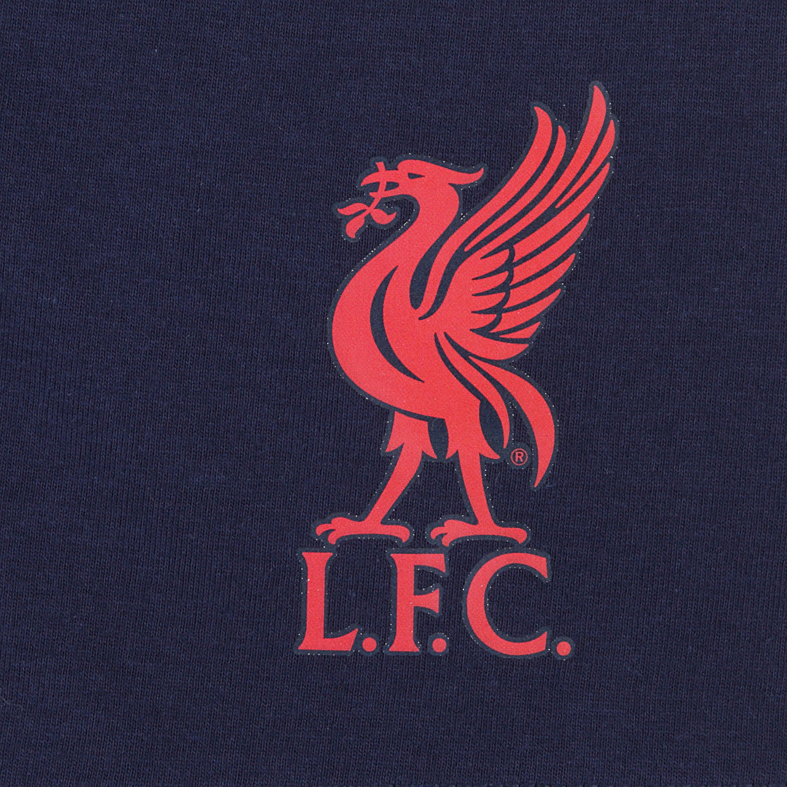 Liverpool kids pyjamas in navy. Short sleeve top with graphic and shorts with logo to the left leg