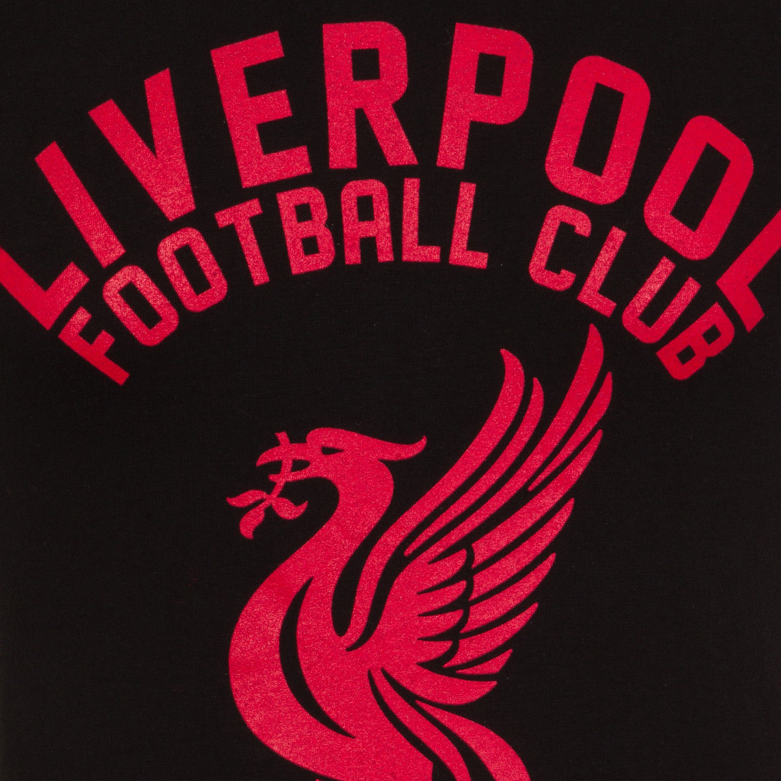 Liverpool adults T-Shirt in black with large crest print and text to front.