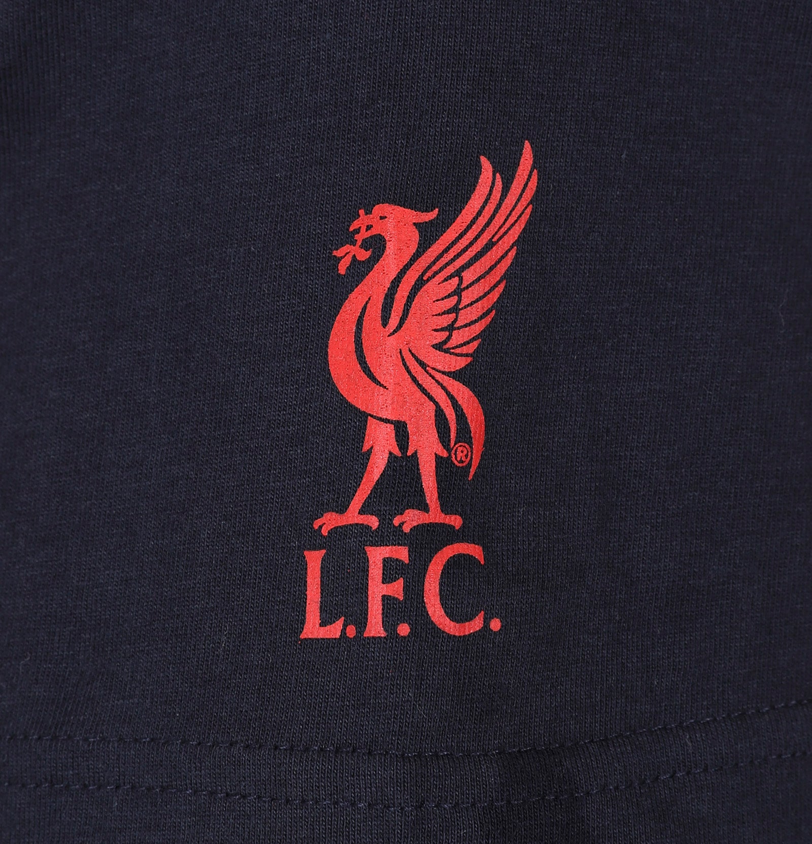 Liverpool adults T-Shirt in navy with large crest print and text to front.