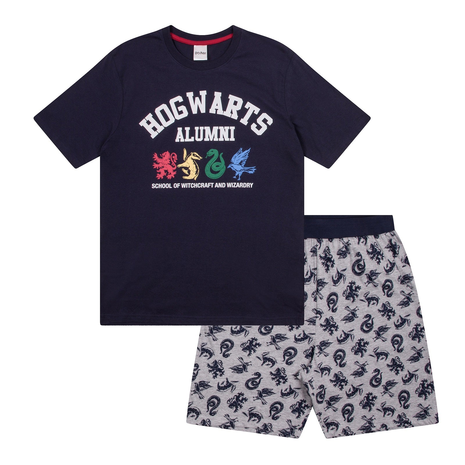 Harry Potter kids pyjamas in navy blue with large character print to front