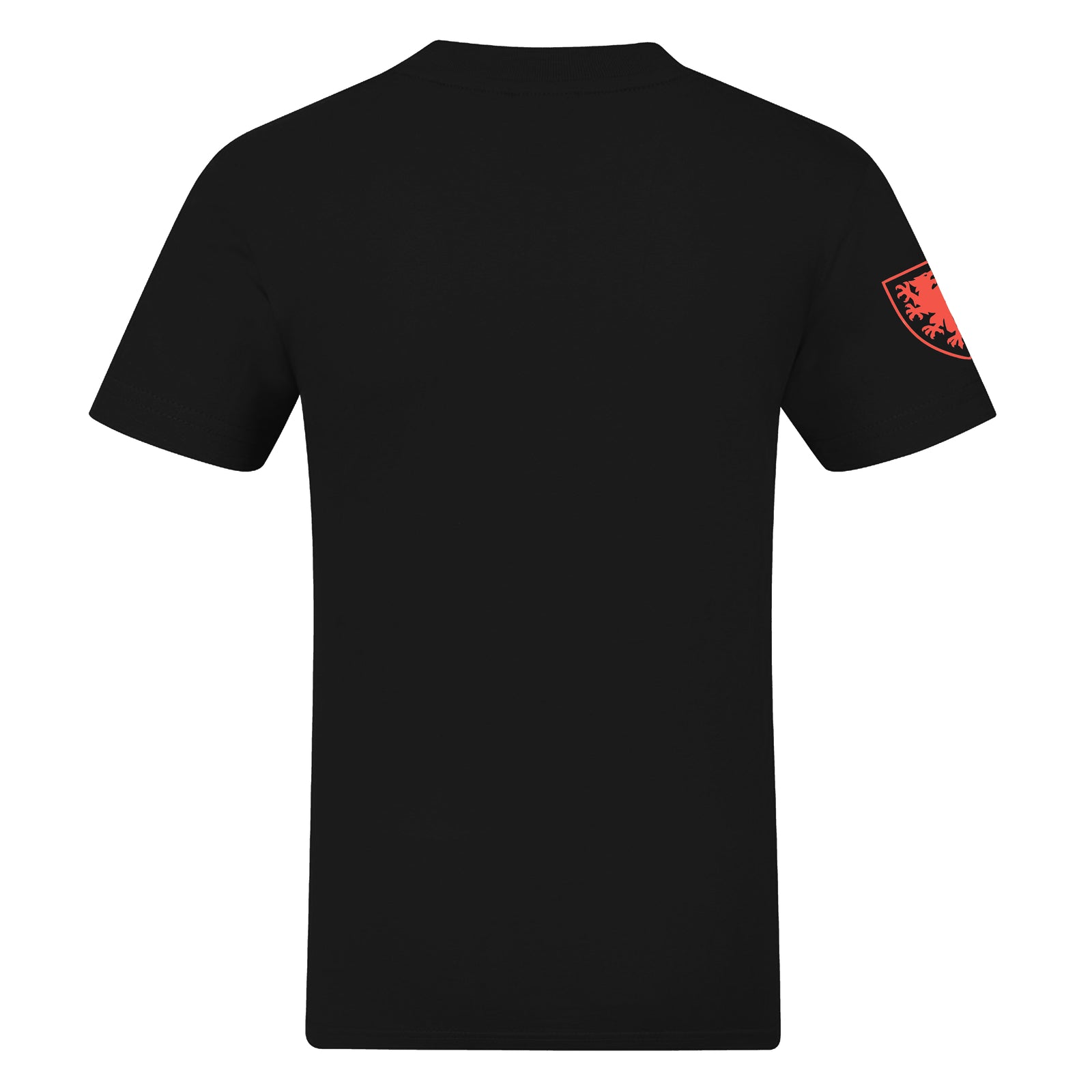 Wales adults graphic T-shirt in black with large national crest print to front.