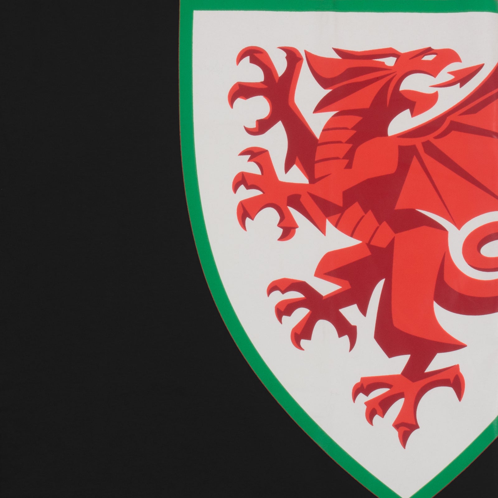 Wales FA kids crest T-shirt in black with large national crest print to front