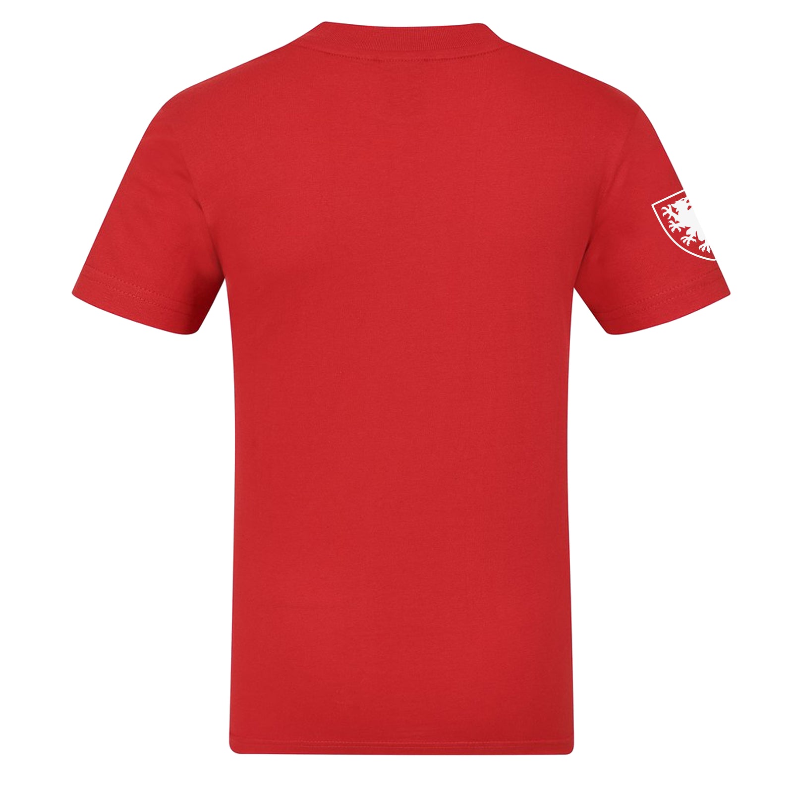 Wales adults graphic T-shirt in red with large national crest print to front.