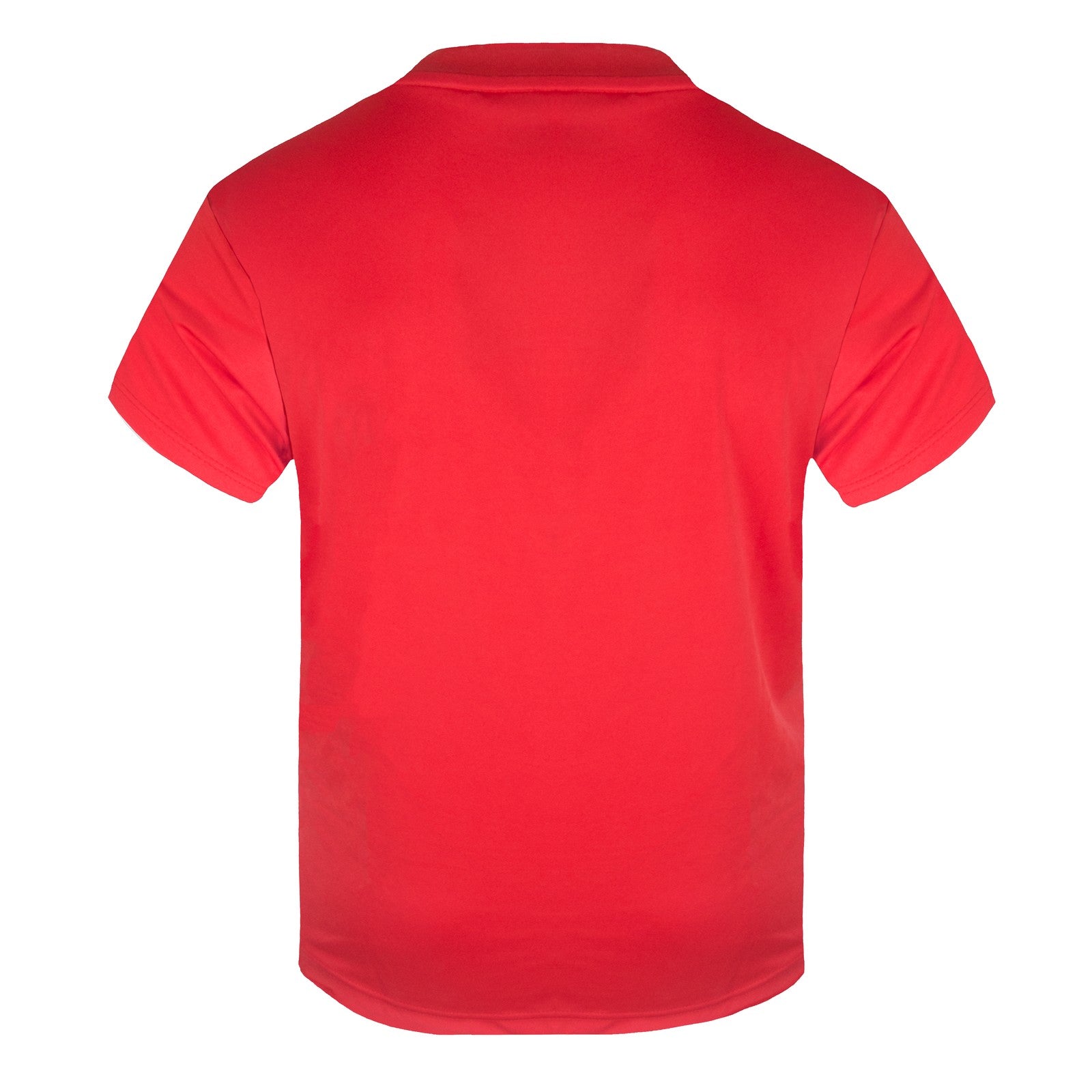 Liverpool kids T-shirt in red & white with woven club crest to chest and players names & number on request.