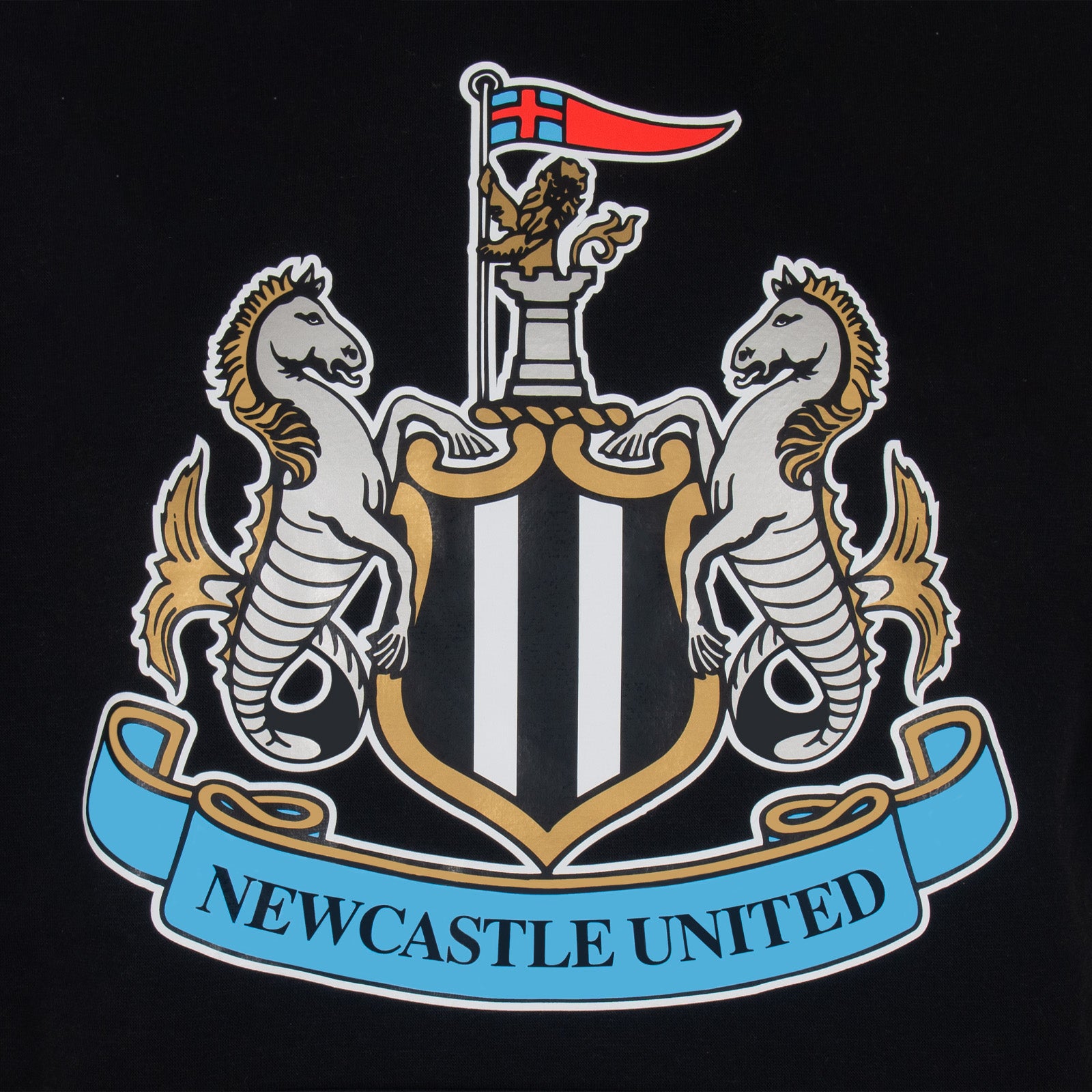 Newcastle United kids hoodie in black with a NUFC club crest across the front.