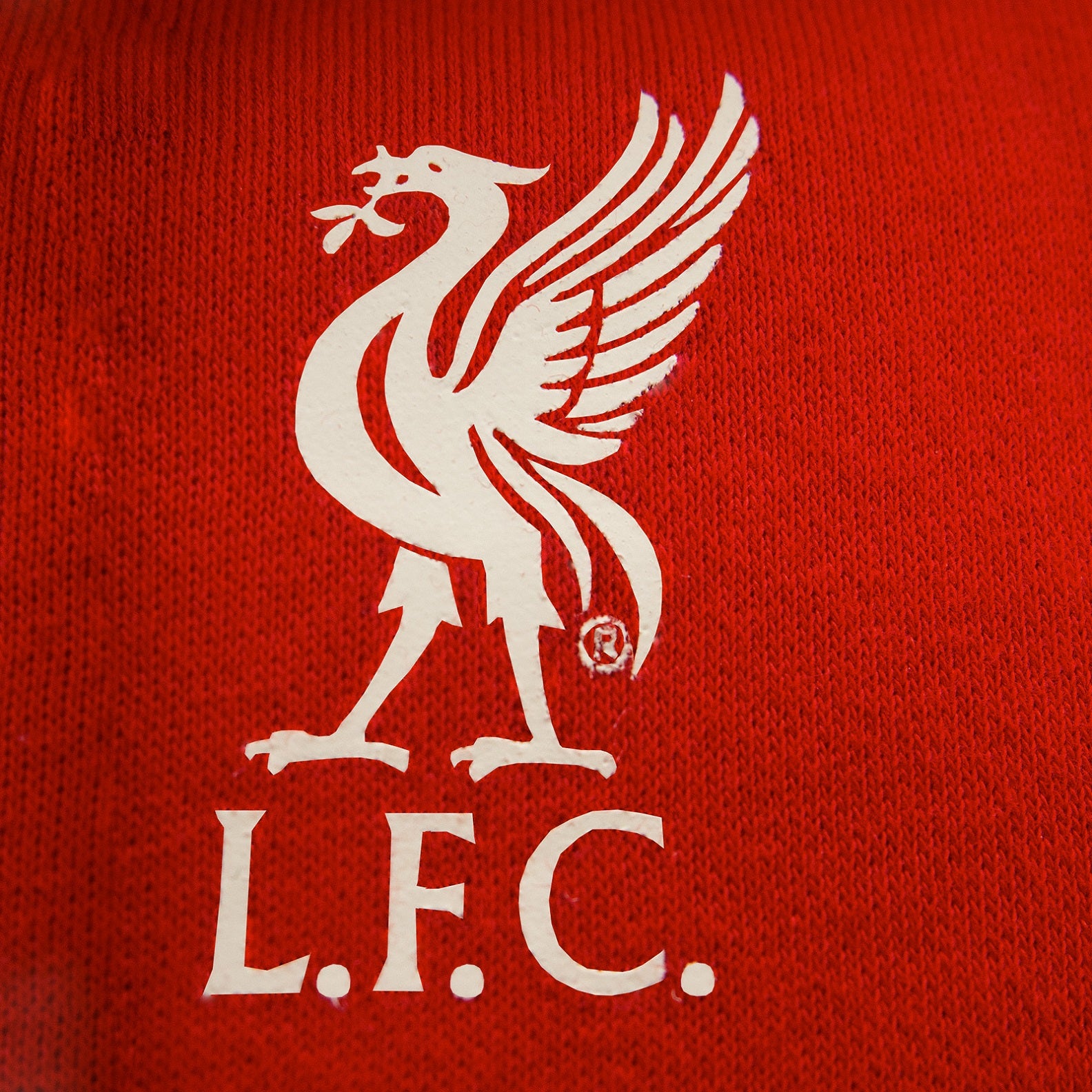 Liverpool adults hoodie in red with large LFC & Liverbird crest print to front.