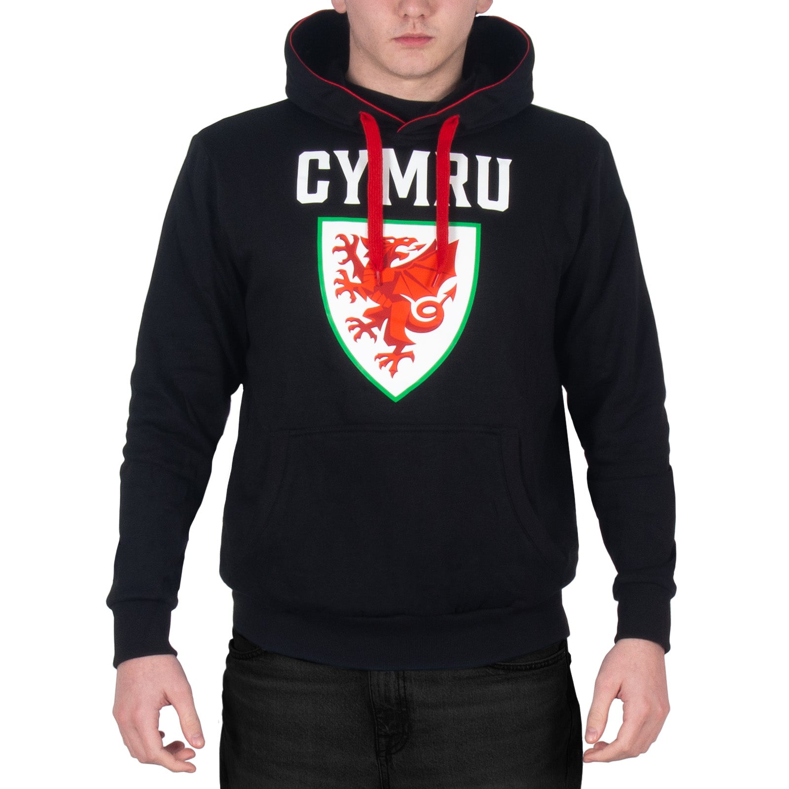 Wales FA adults graphic hoodie in black with Wales crest to the centre of the body.