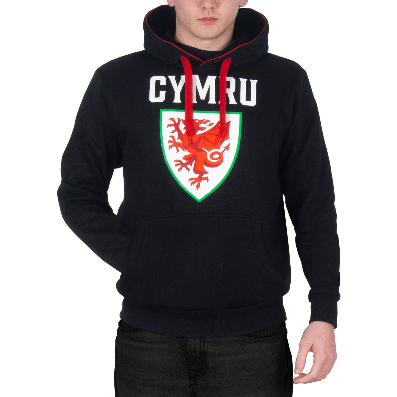 Wales FA adults graphic hoodie in black with Wales crest to the centre of the body.